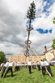 Stiegl Maibaum Aufstellen 2012.jpg