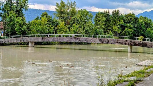 2025 07 27 Rifersteg Königsseeache 02.jpg